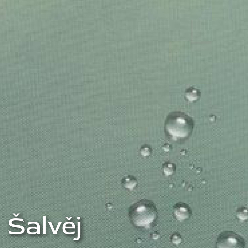 Šalvěj