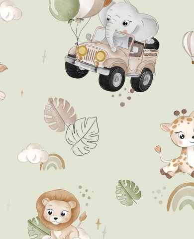 Safari